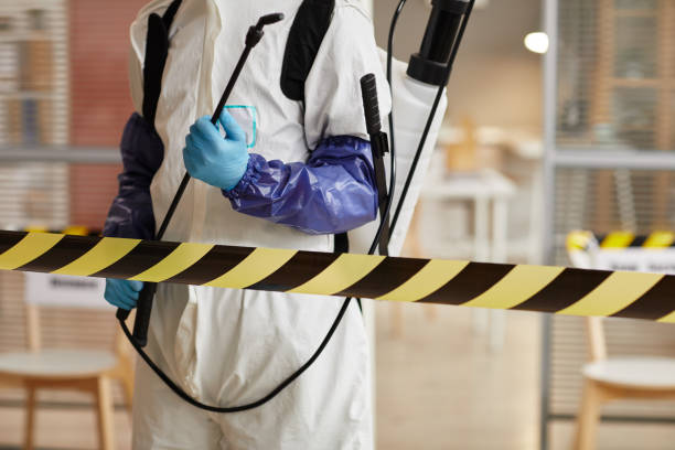 Professional Odor Removal technician working in Sanborn, NY
